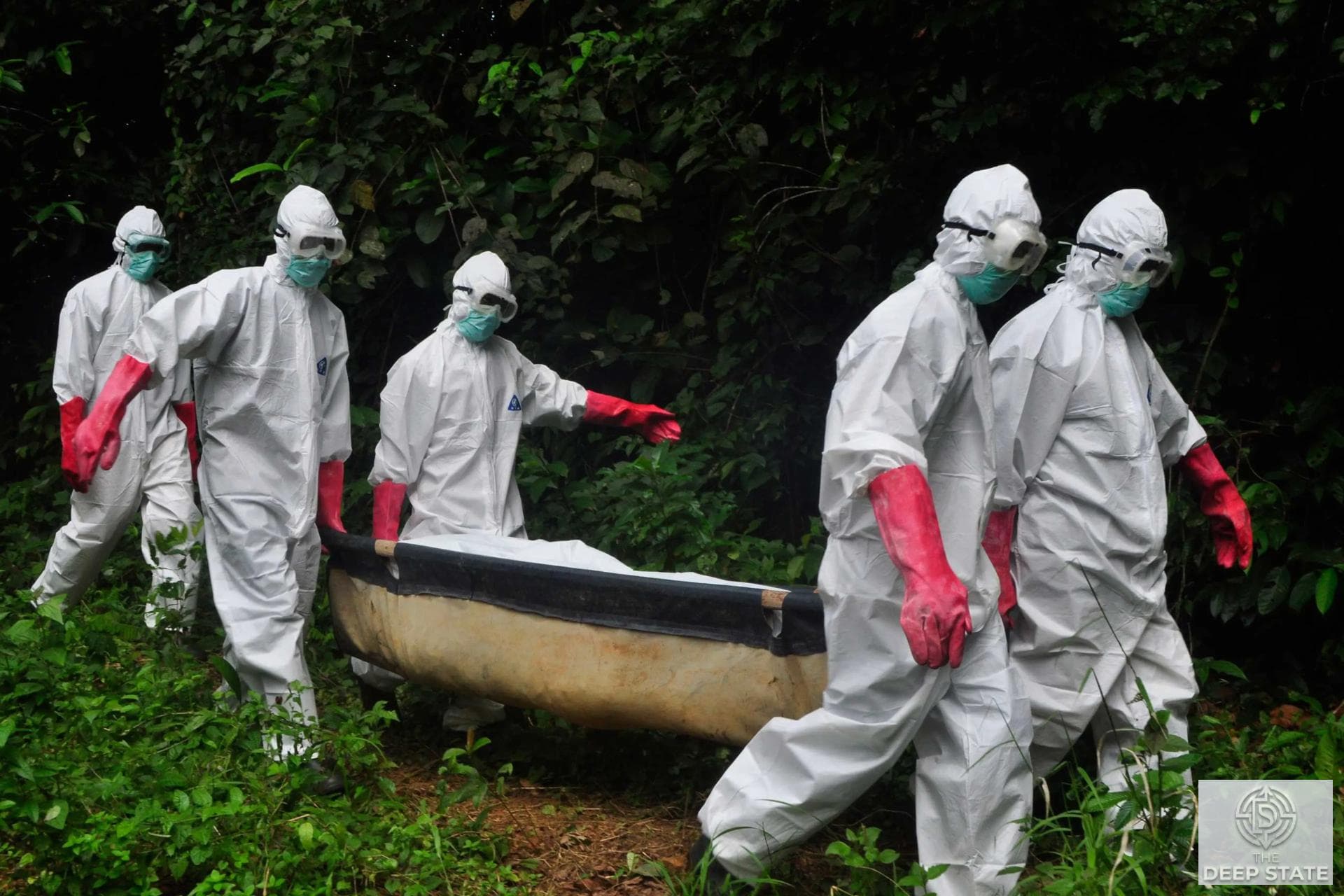 WHO Declares Global Health Emergency as Ebola Outbreak Expands in Central Africa